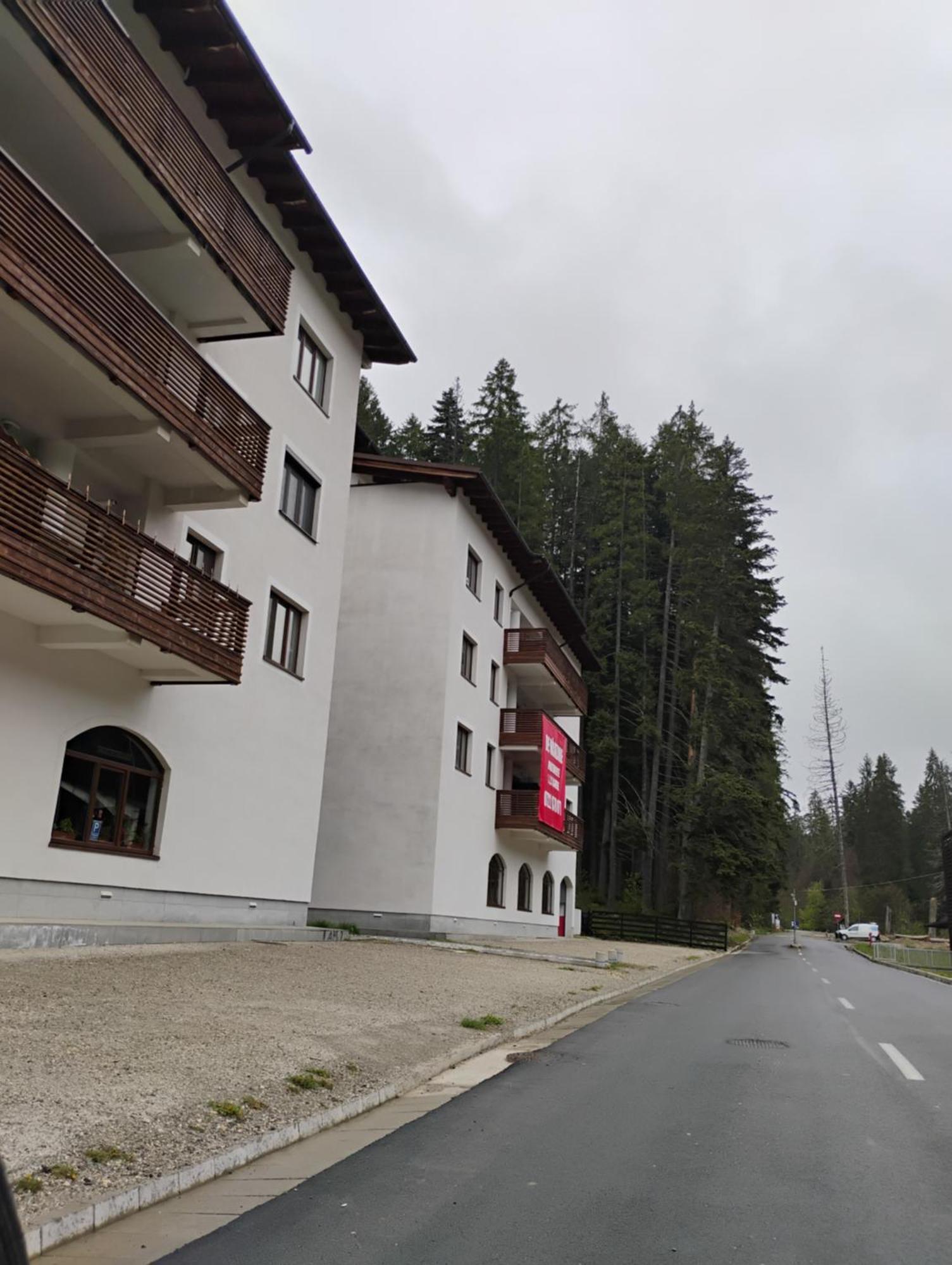 Forest Oasis Studio - Free Netflix And Disney Plus Predeal Exterior foto